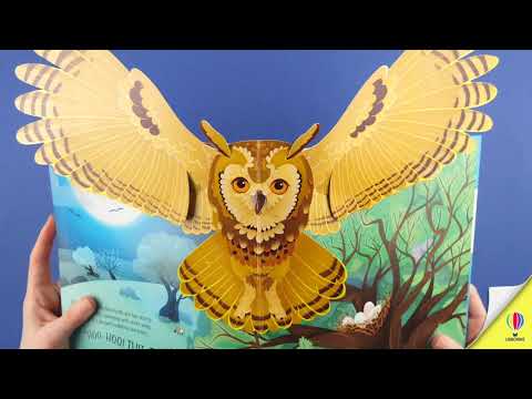 Usborne Pop-Up Birds Book