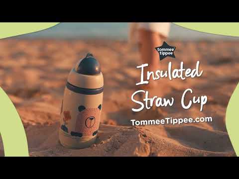 Tommee Tippee Superstar Insulated Straw Cup Water Bottle (266ml) - Grey Bear