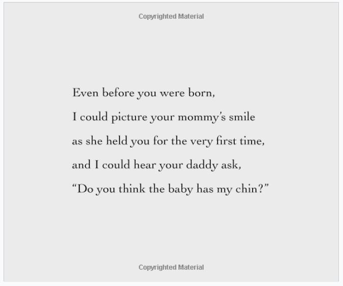 I Loved You Before You Were Born Board Book