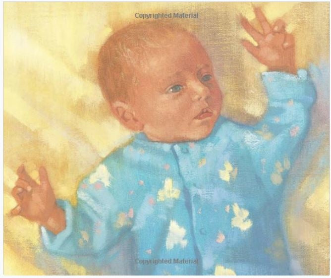 I Loved You Before You Were Born Board Book