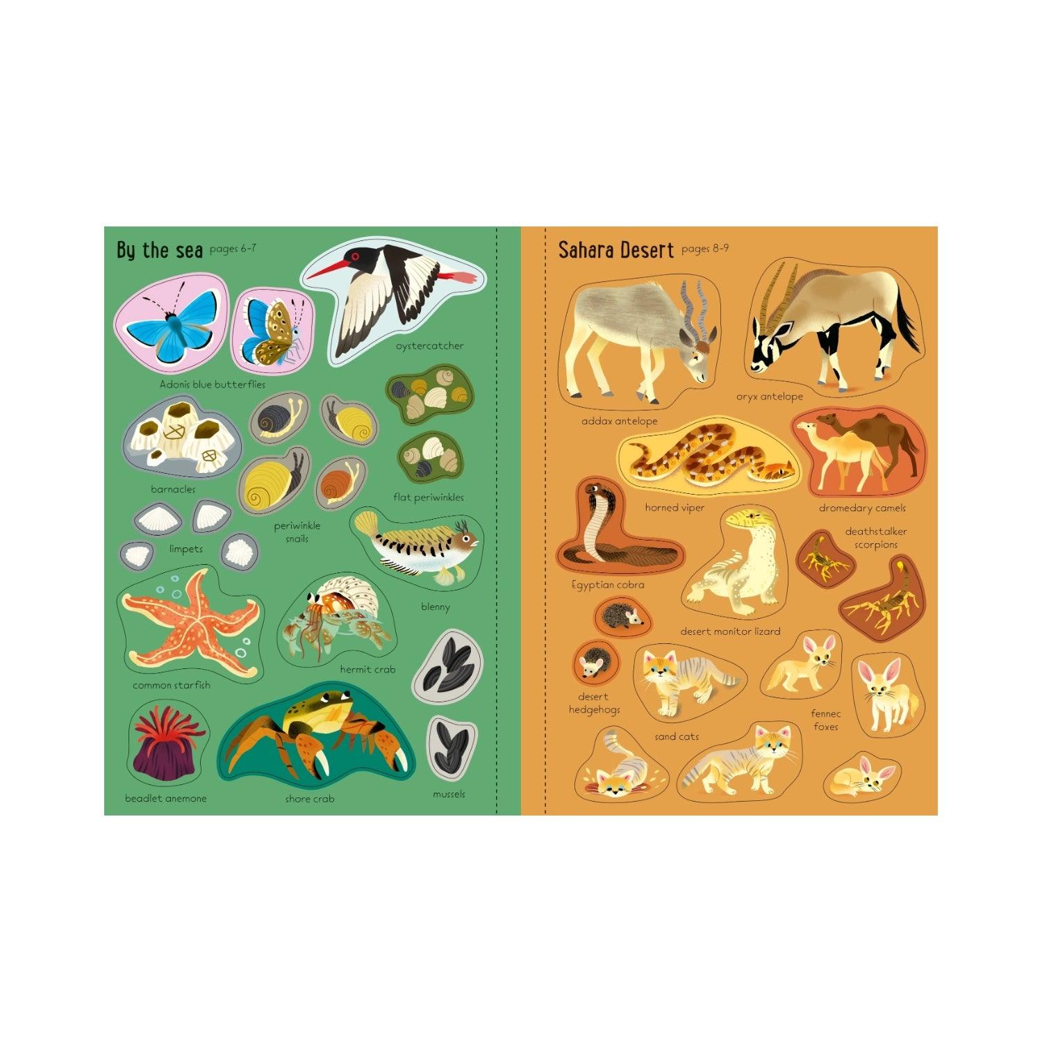 Usborne Little First Stickers Book (6 Titles) - Pupsik Singapore