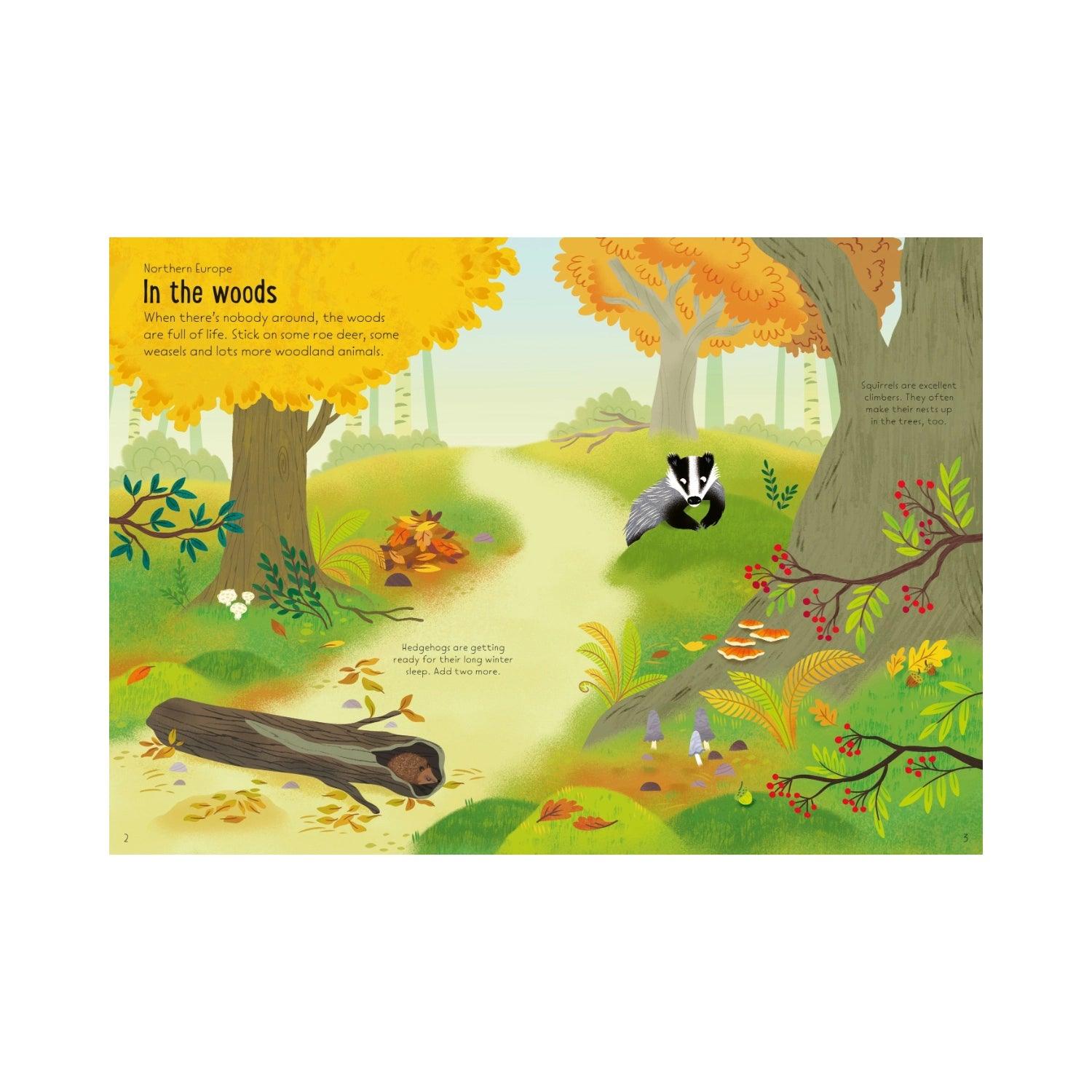 Usborne Little First Stickers Book (6 Titles) - Pupsik Singapore