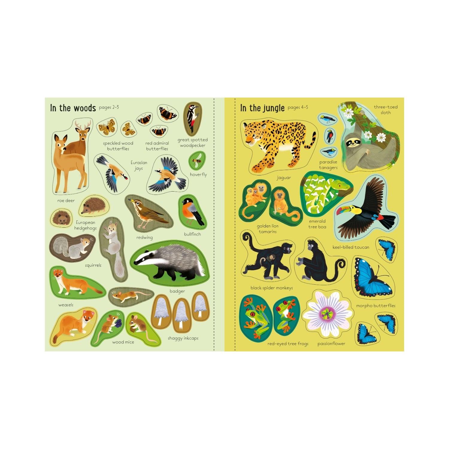 Usborne Little First Stickers Book (6 Titles) - Pupsik Singapore