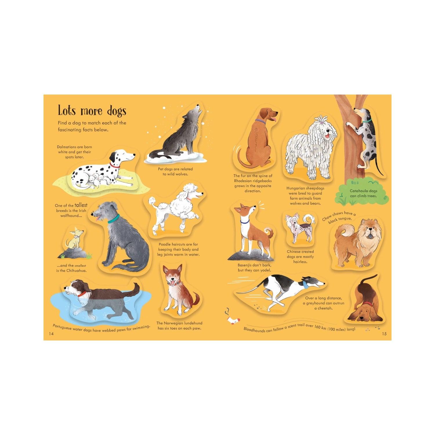 Usborne Little First Stickers Book (6 Titles) - Pupsik Singapore
