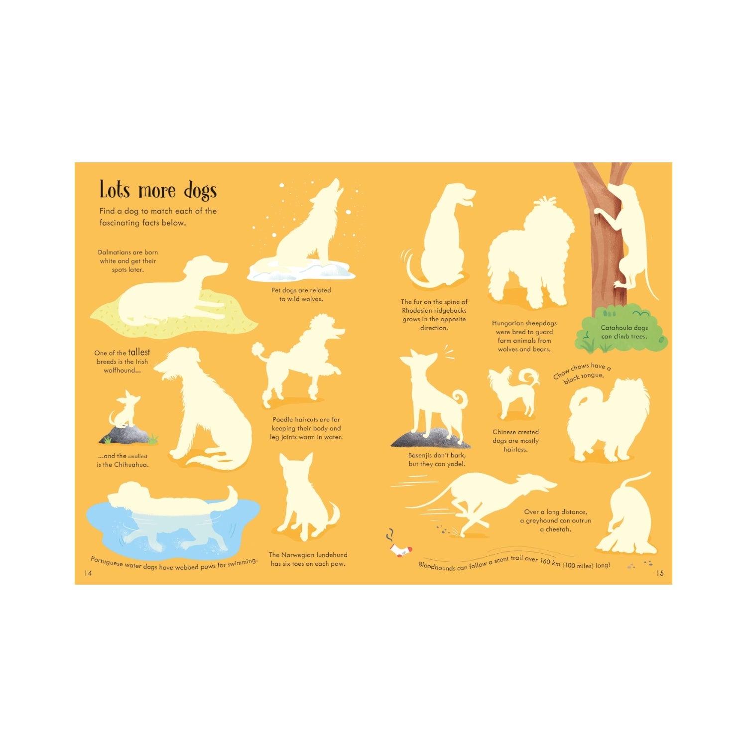 Usborne Little First Stickers Book (6 Titles) - Pupsik Singapore