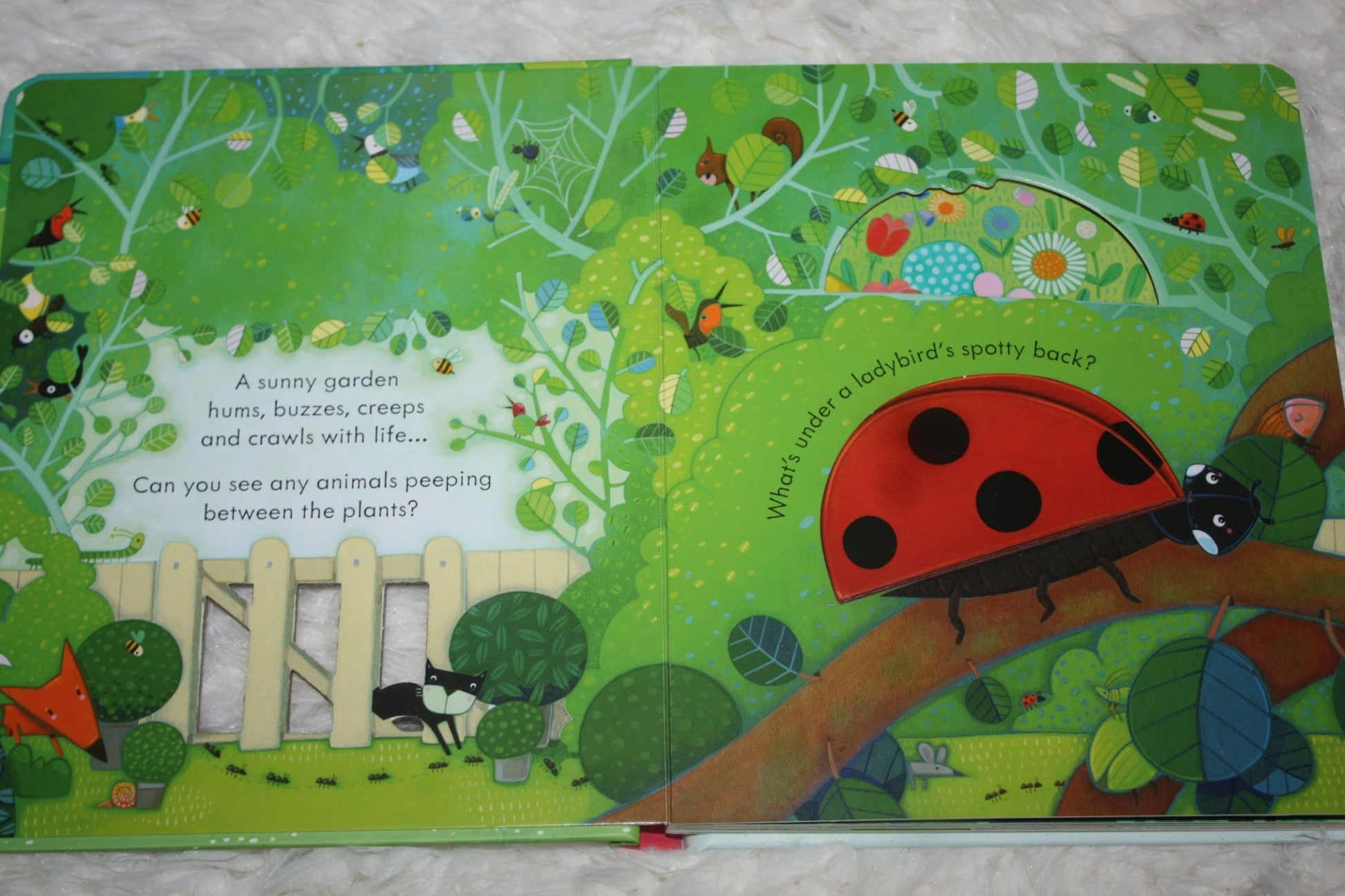 Usborne Peep Inside Learning Book (4 Titles) - Pupsik Singapore