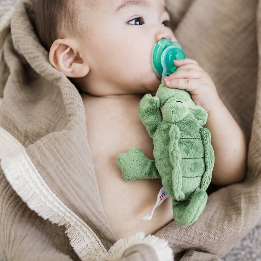 Nookums Paci-Plushies Buddies Pacifier Holder (7 Designs) - Pupsik Singapore