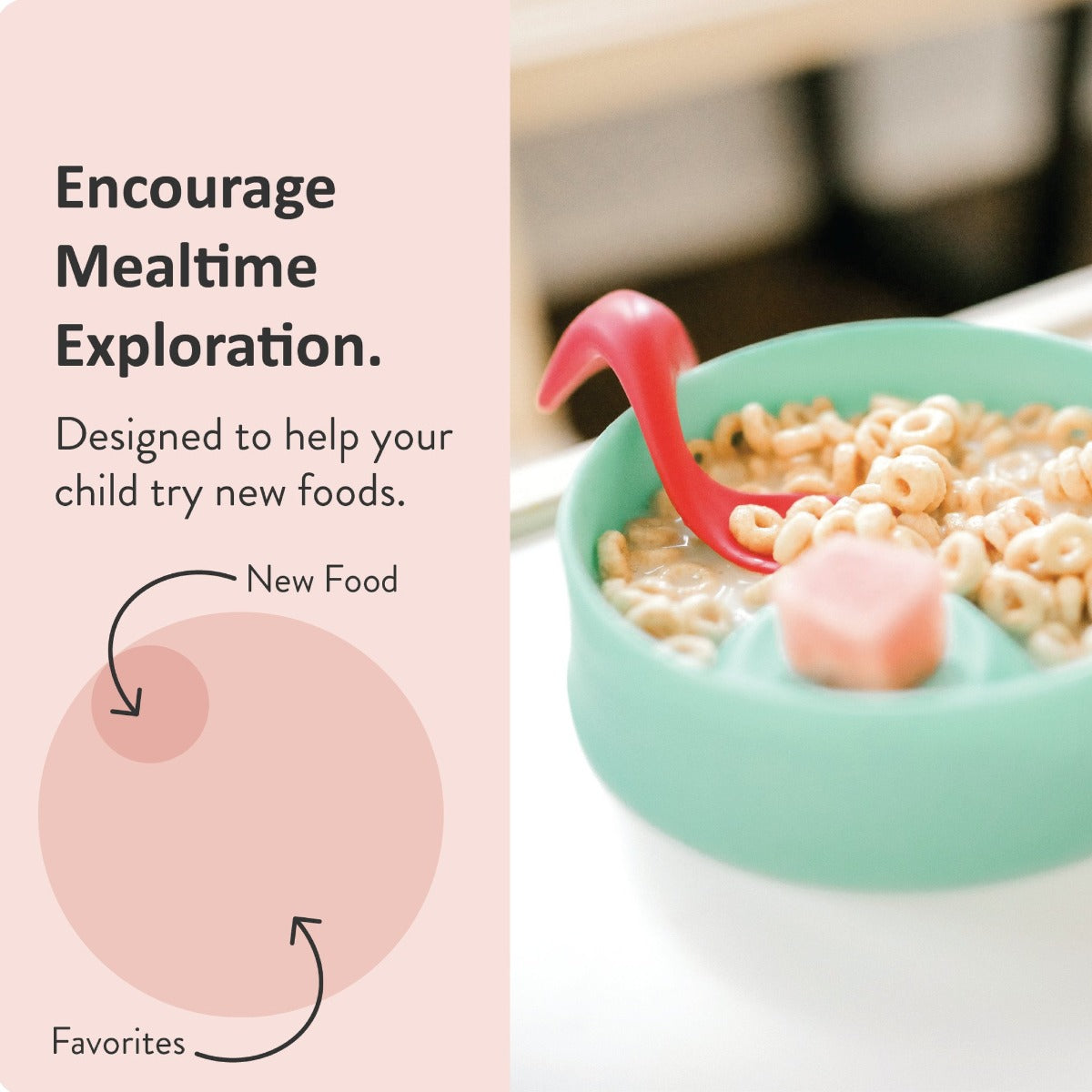 Kizingo Nudge Baby and Toddler Bowl (4 Colours)