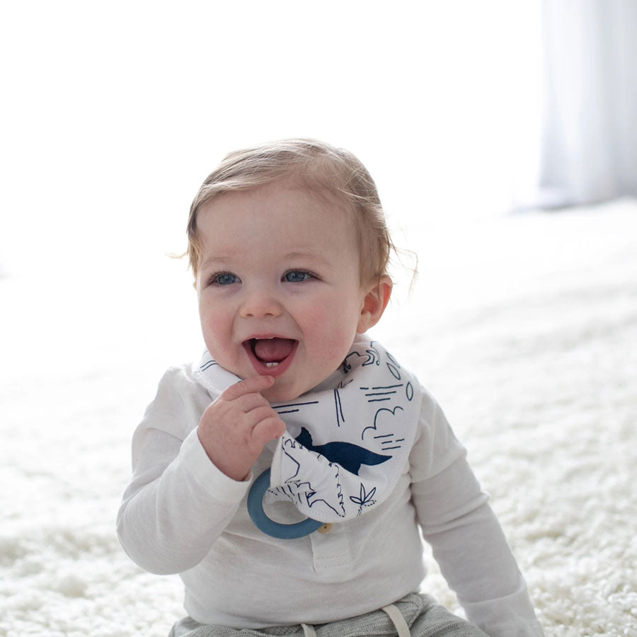 Dr Brown's Bandana Bib with Snap-On Teether, 2pk (3 Designs) - Pupsik Singapore