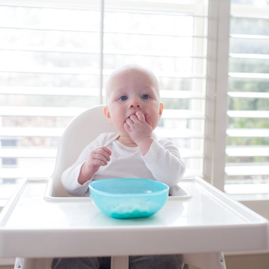 Dr. Brown’s Designed to Nourish Scoop-a-Bowl (2pk)