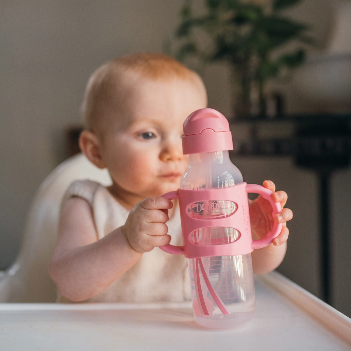 Dr. Brown's Milestones Sippy Straw Bottles w/ Silicone Handles, 250ml (4 Colours)