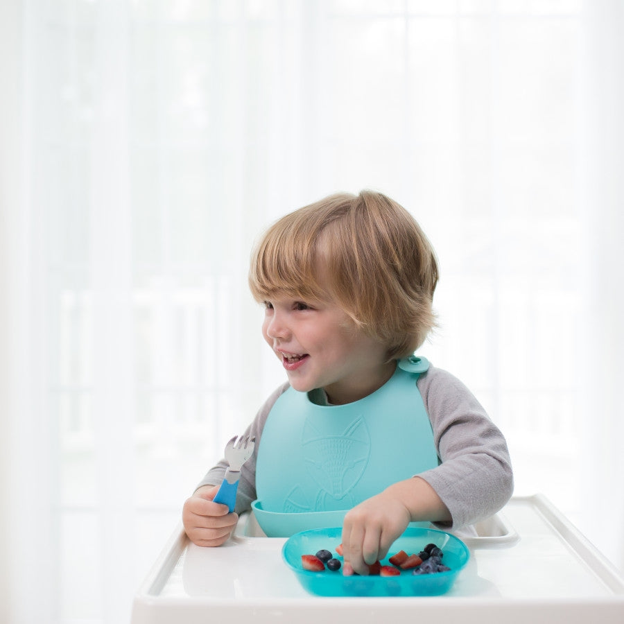 Dr. Brown’s Silicone Baby Bib (1pc)