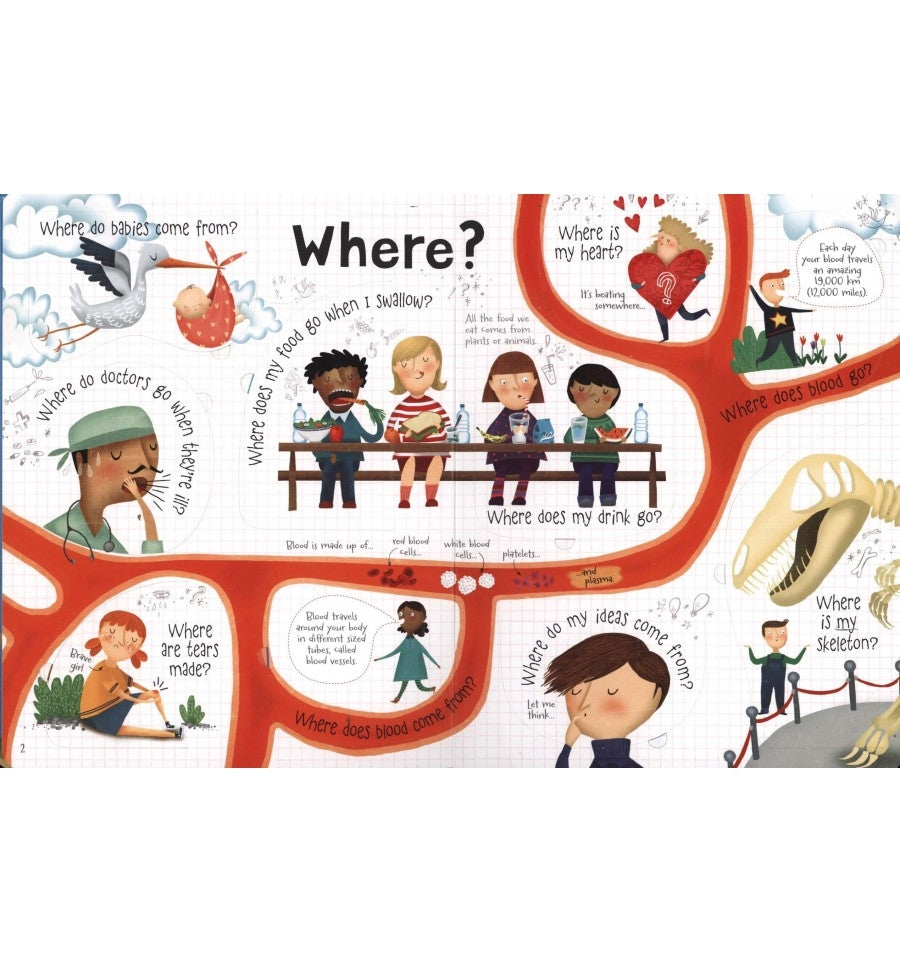 Usborne Lift-The-Flap Q&A Book (6 Titles) - Pupsik Singapore