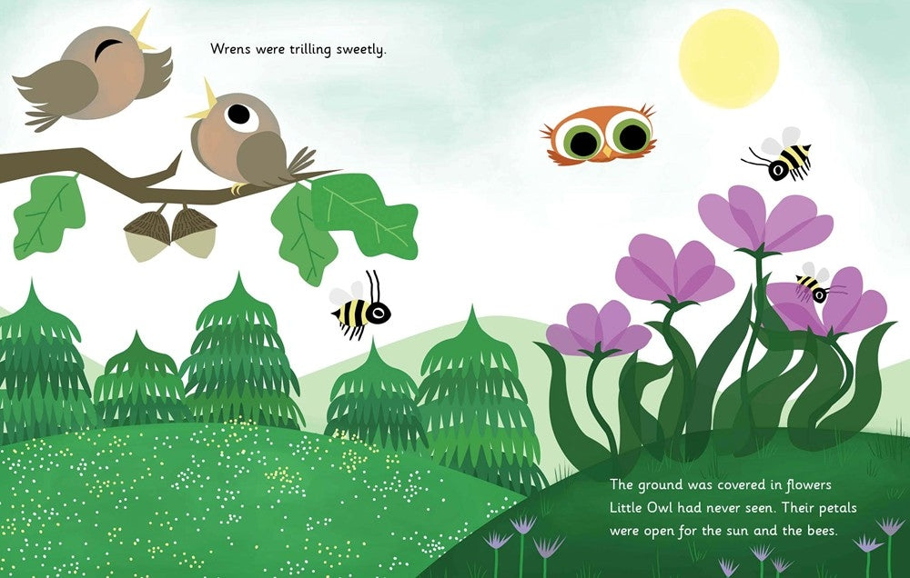 Little Owl's Day Board Book