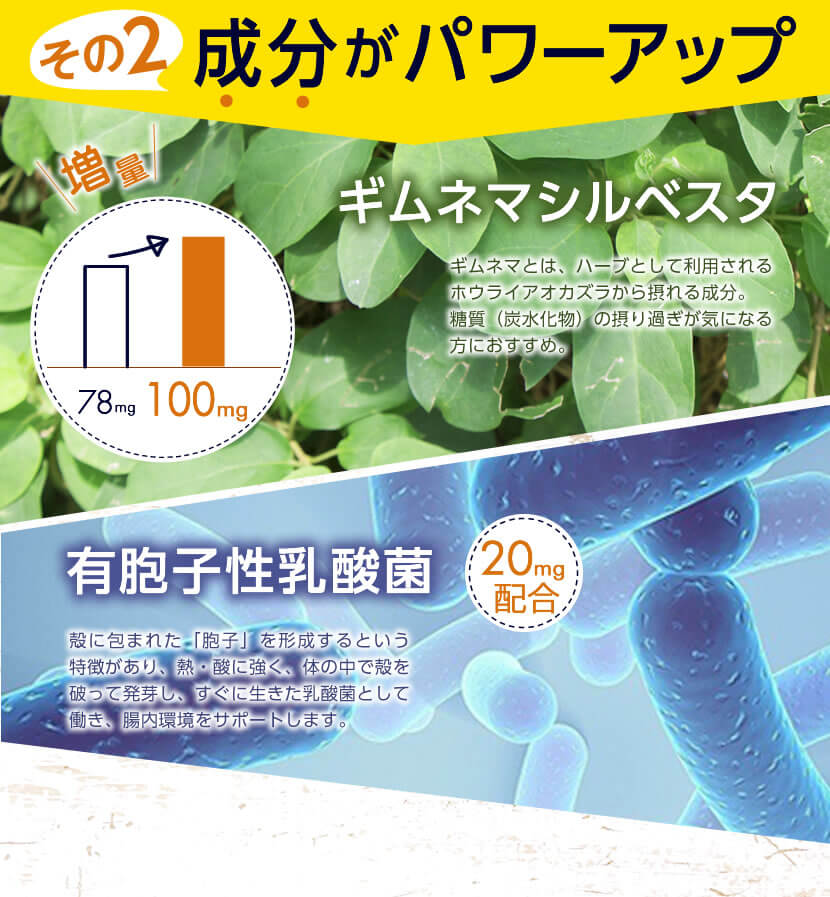 Shinya Koso Daily Digestion Enzyme Advanced, 90 Tabs/30 Servings (Exp 09/27)