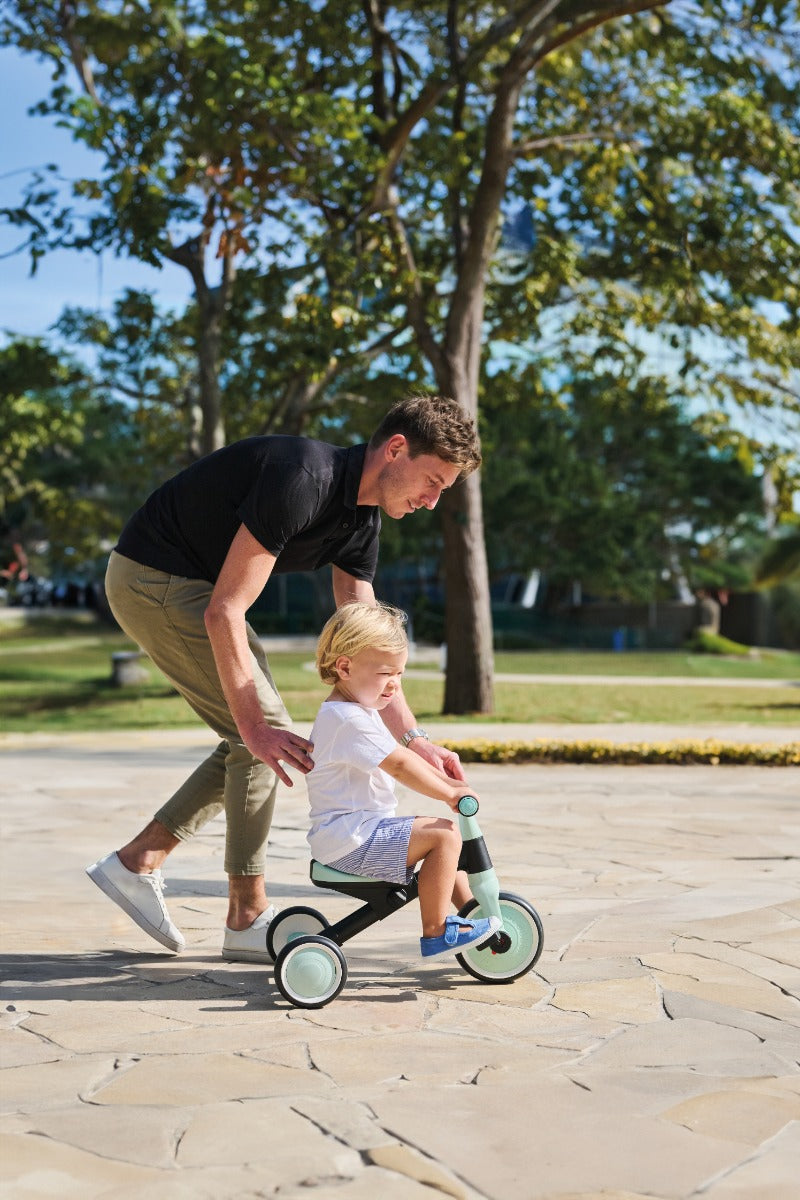Globber Learning Trike 2-in-1 (3 Colors)