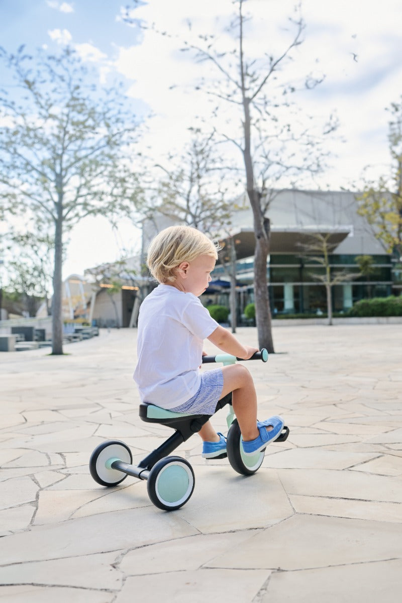 Globber Learning Trike 2-in-1 (3 Colors)