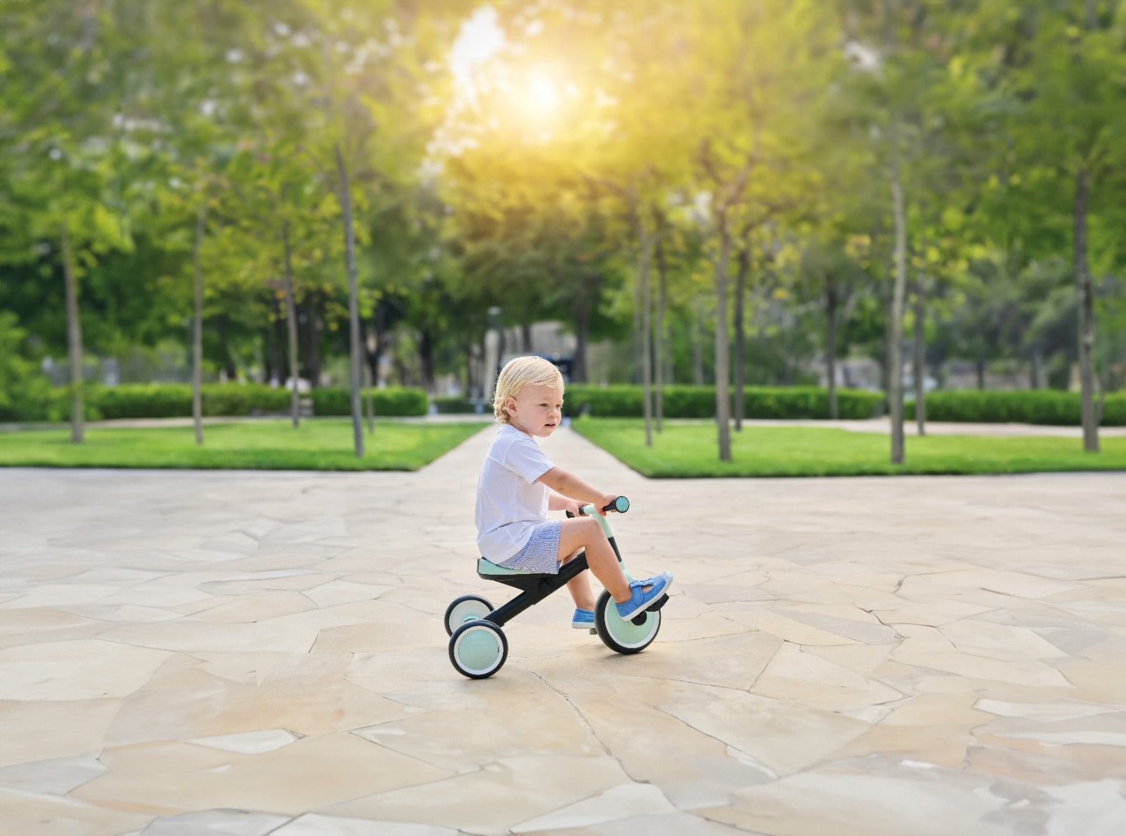 Globber Learning Trike 2-in-1 (3 Colors)