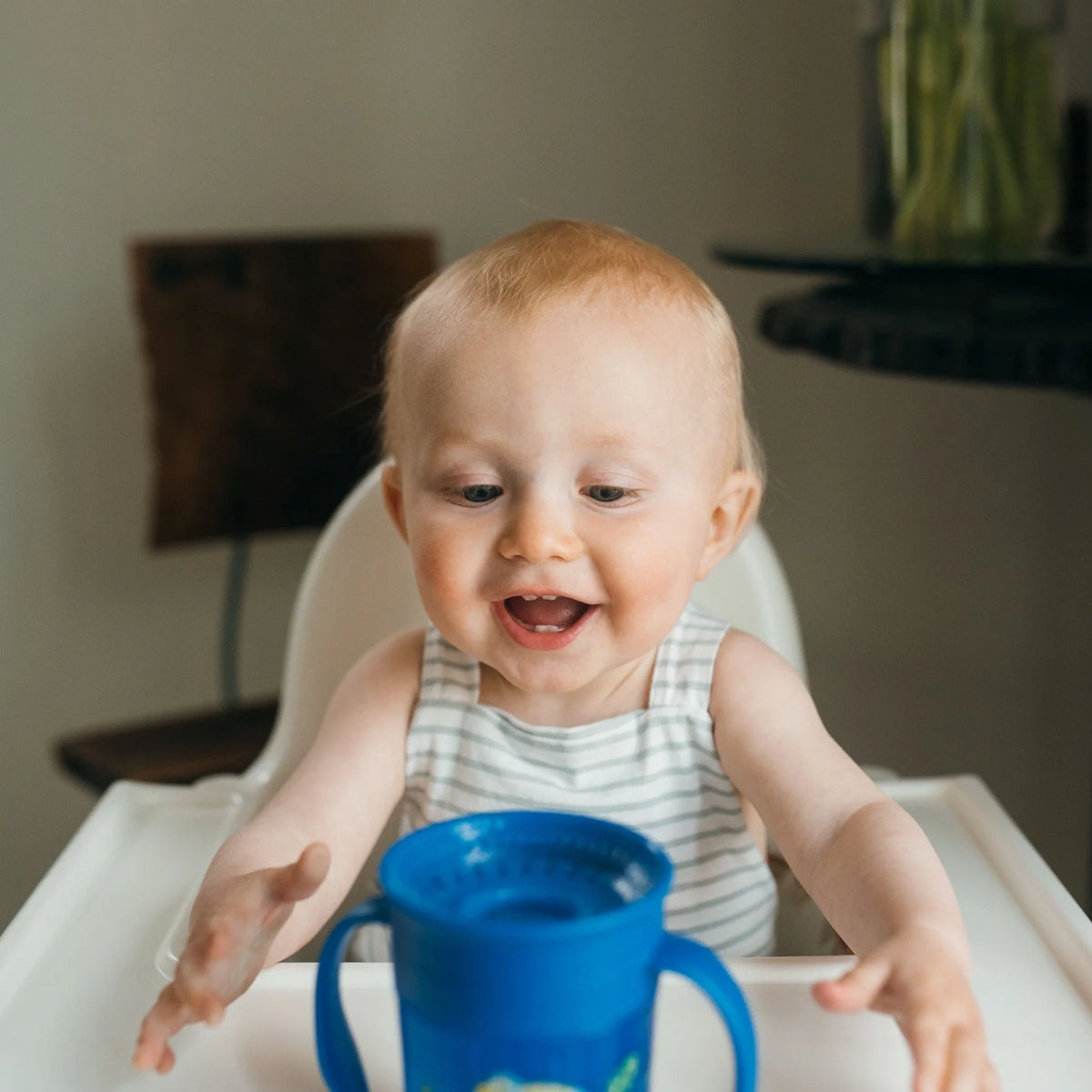 Dr. Brown’s Milestones Cheers360 Cup with Handles, 7 oz/200 mL (4 Designs) | 6M+ - Pupsik Singapore