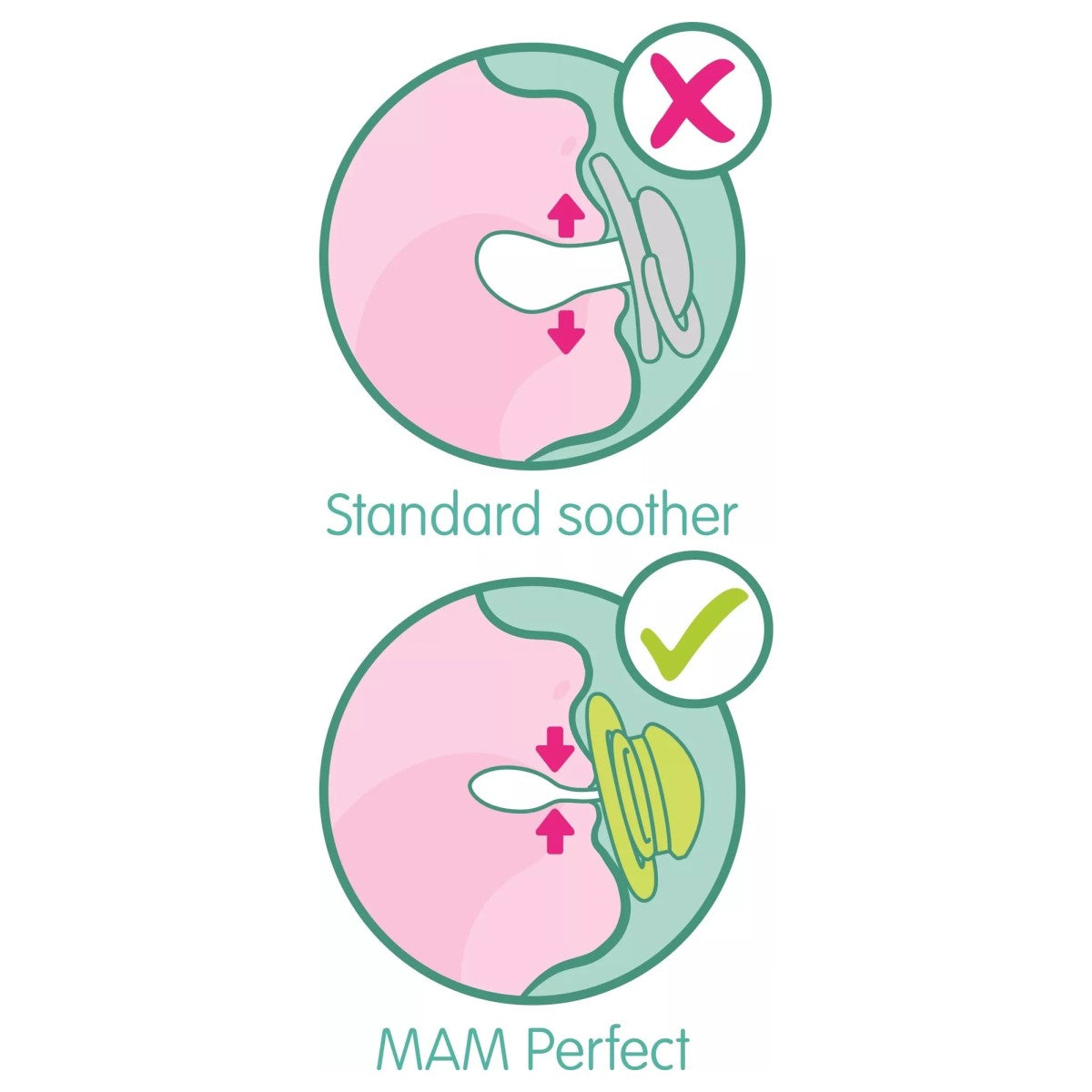 MAM Perfect Night Pacifier with Case, 6M+ (2 Colors Assorted)