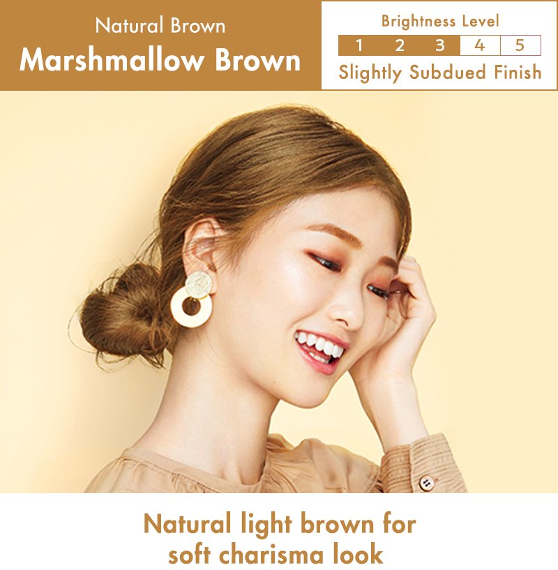 Liese Creamy Bubble Colour Hair Dye - New Packaging (23 Colors) - Pupsik Singapore