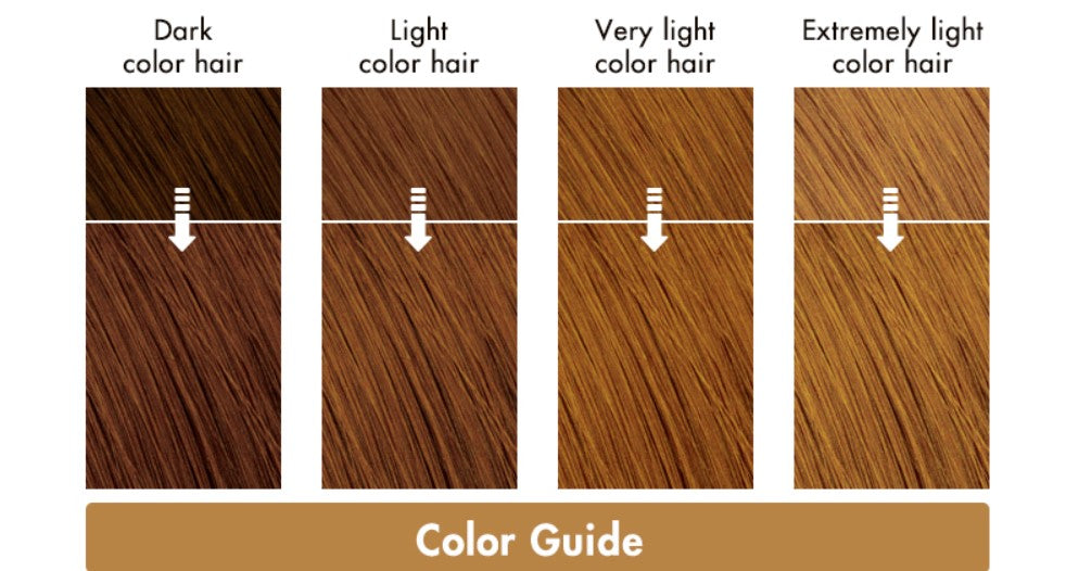 Liese Creamy Bubble Colour Hair Dye - New Packaging (23 Colors) - Pupsik Singapore