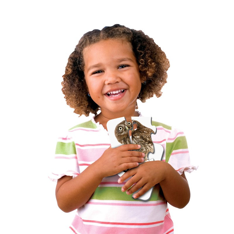 The Learning Journey Match It! English (13 Titles)