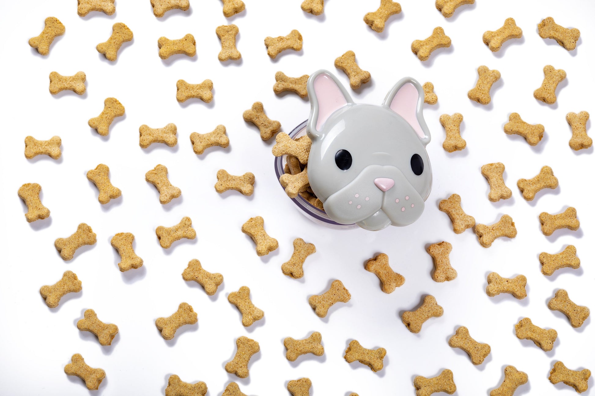Melii Snack Container, 232ml - Bulldog - Pupsik Singapore