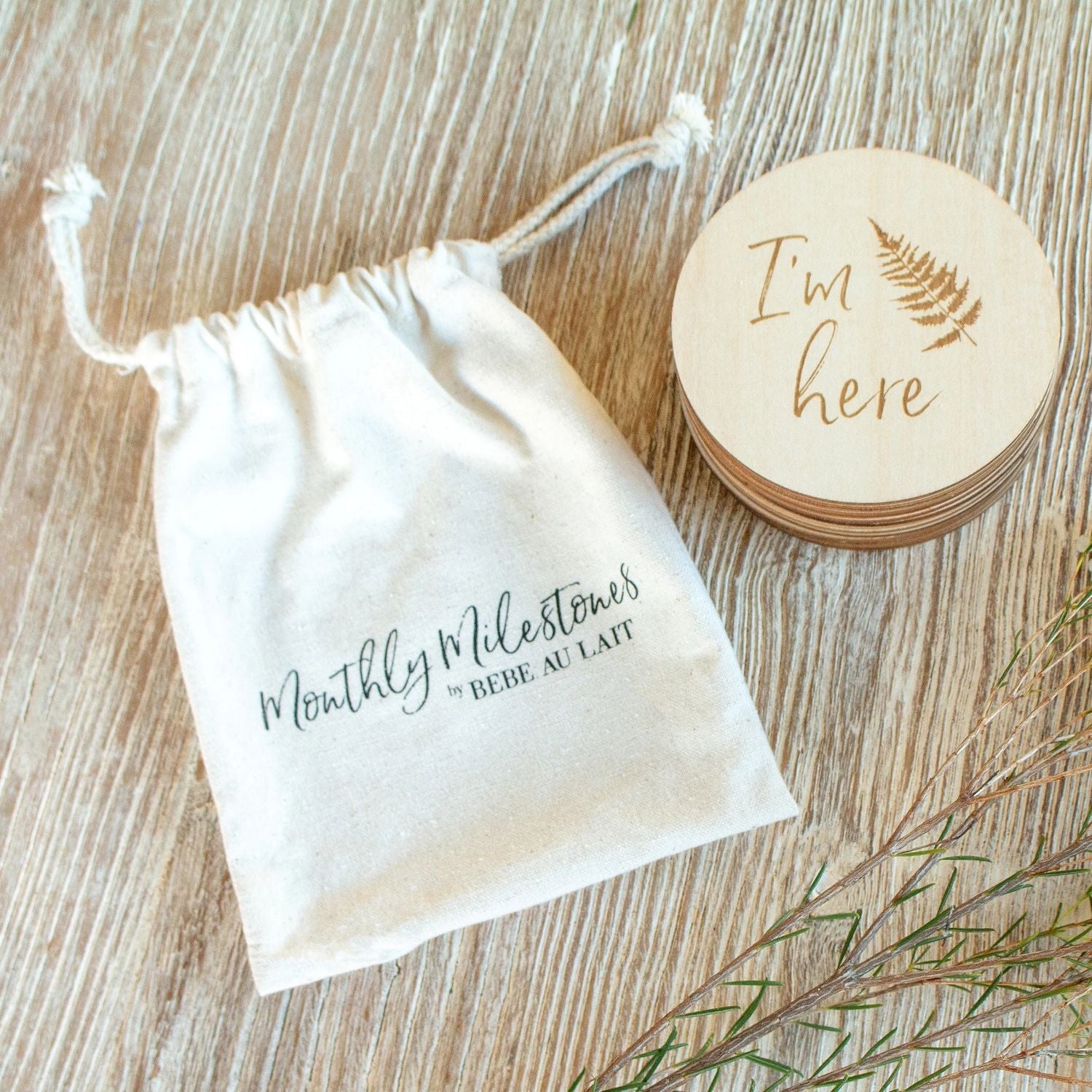 Bebe Au Lait Monthly Milestone Moments Set