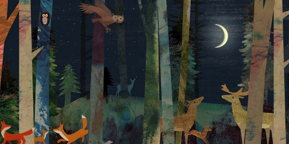 Moon: A Peek-Through Picture Book