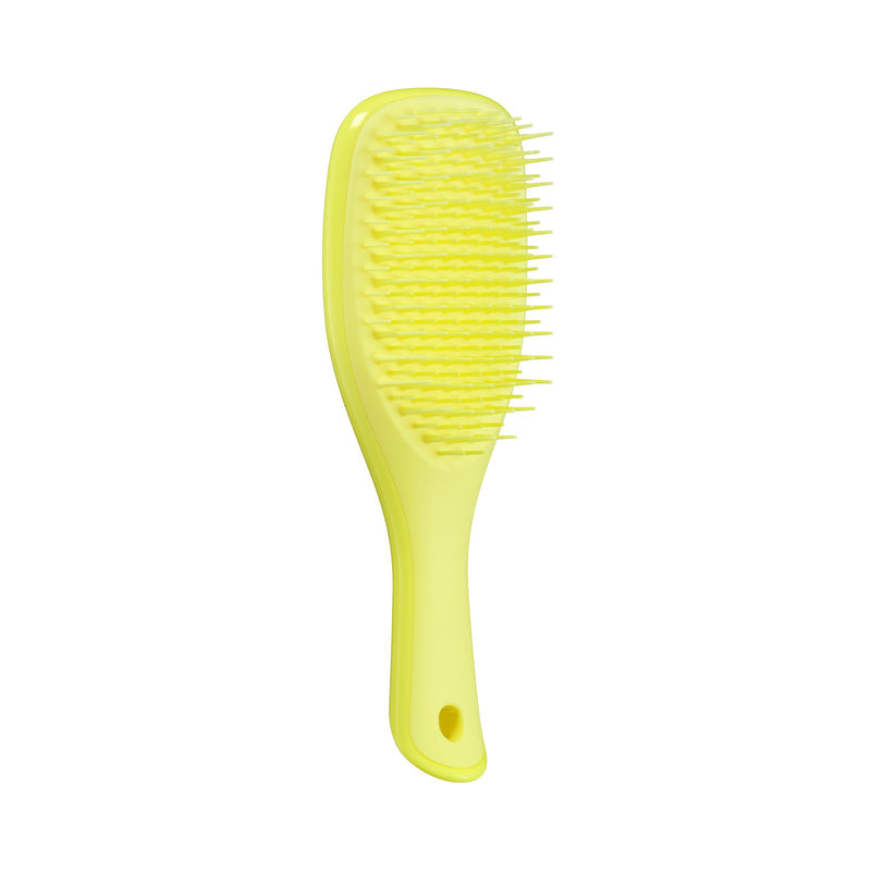 Tangle Teezer The Ultimate Detangler Mini Hairbrush, Straight & Curly (11 Colors) - Pupsik Singapore