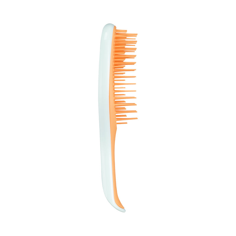 Tangle Teezer The Ultimate Detangler Mini Hairbrush, Straight & Curly (10 Colors)