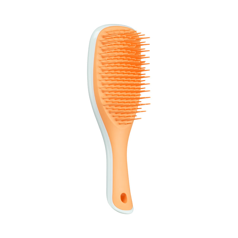 Tangle Teezer The Ultimate Detangler Mini Hairbrush, Straight & Curly (10 Colors)