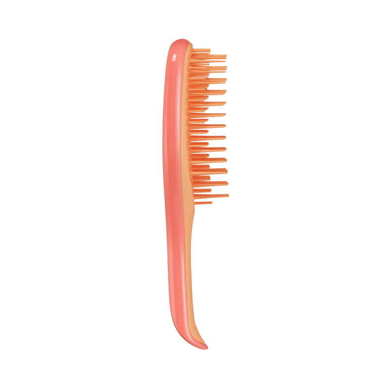 Tangle Teezer The Ultimate Detangler Mini Hairbrush, Straight & Curly (11 Colors) - Pupsik Singapore