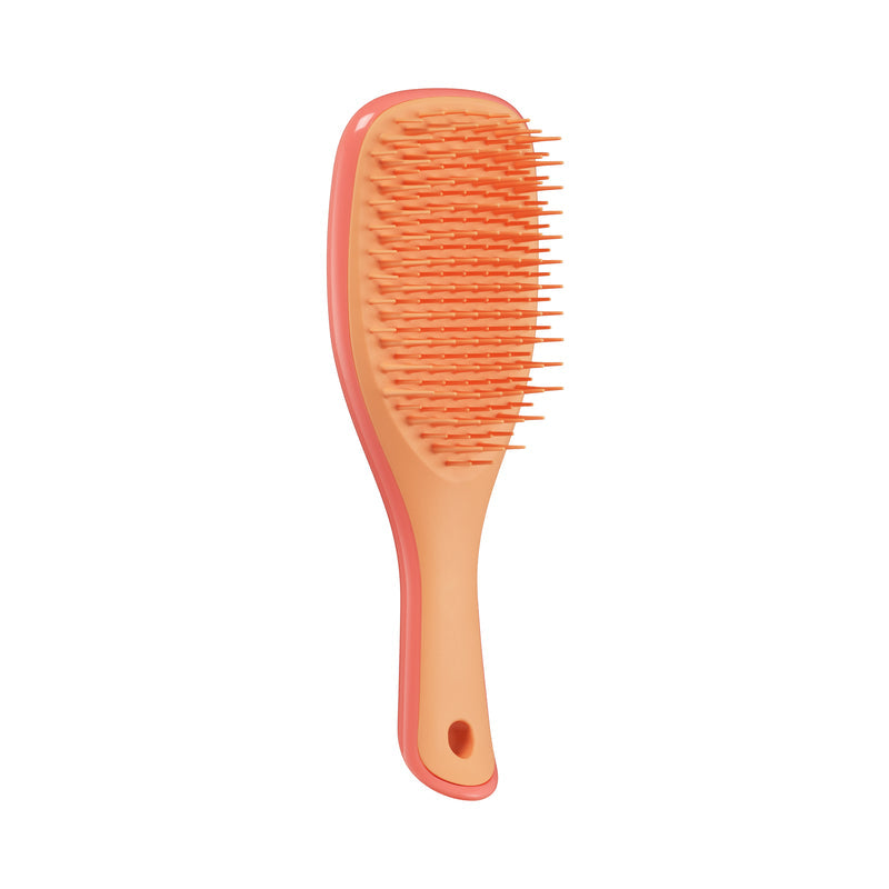 Tangle Teezer The Ultimate Detangler Mini Hairbrush, Straight & Curly (11 Colors) - Pupsik Singapore