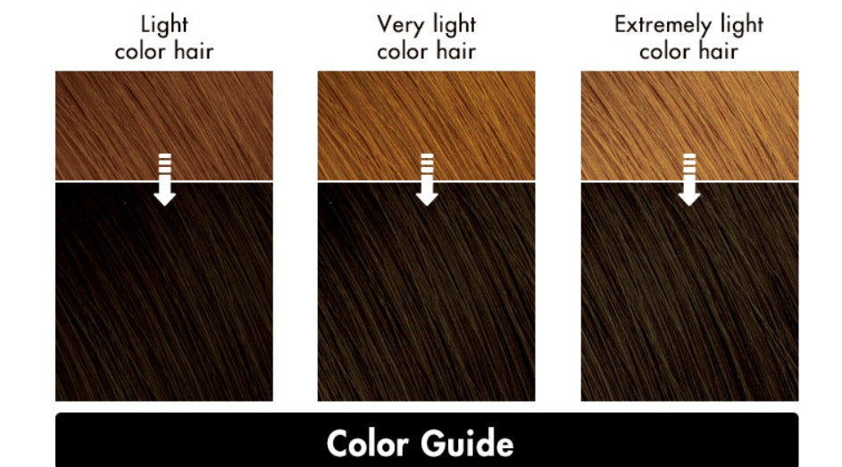 Liese Creamy Bubble Colour Hair Dye - New Packaging (23 Colors) - Pupsik Singapore