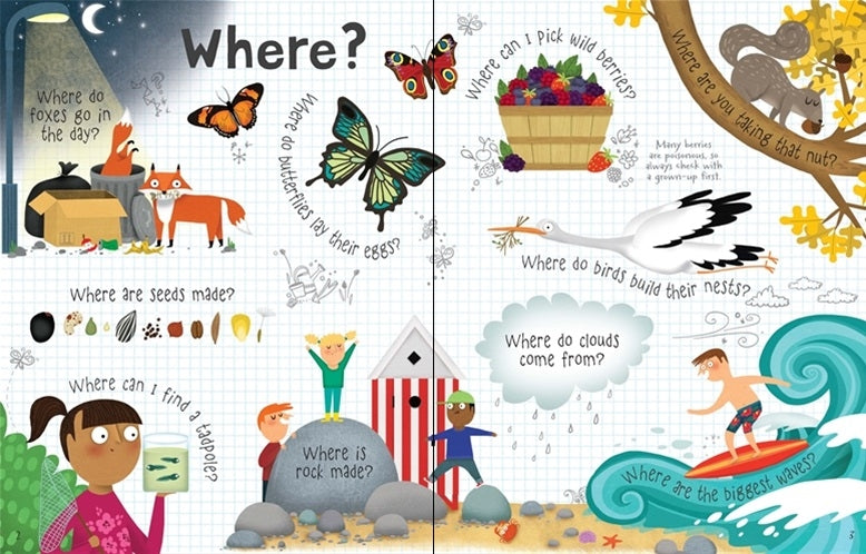 Usborne Lift-The-Flap Q&A Book (6 Titles) - Pupsik Singapore
