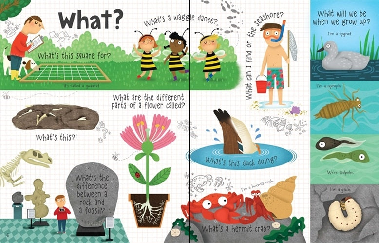 Usborne Lift-The-Flap Q&A Book (6 Titles) - Pupsik Singapore