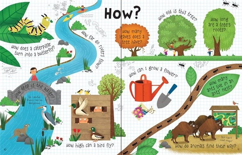 Usborne Lift-The-Flap Q&A Book (6 Titles) - Pupsik Singapore