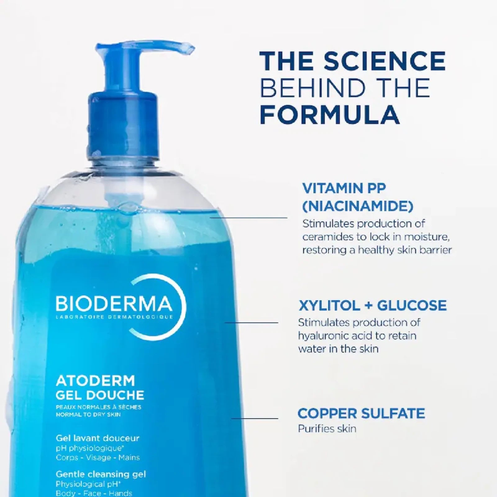 Bioderma Atoderm Gentle Cleansing Gel, 1L (2 Types)