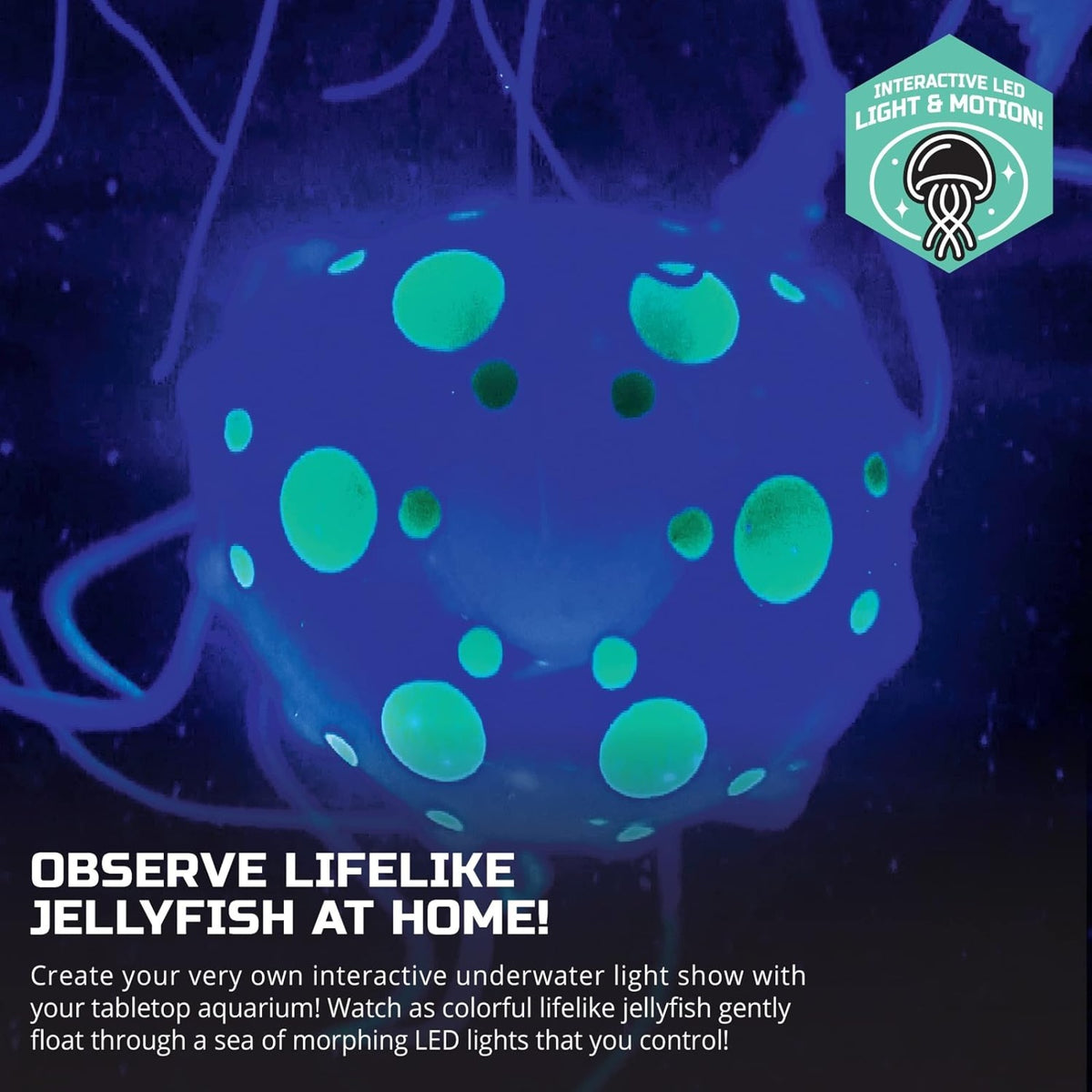 Discovery #MINDBLOWN Jellyfish Aquarium