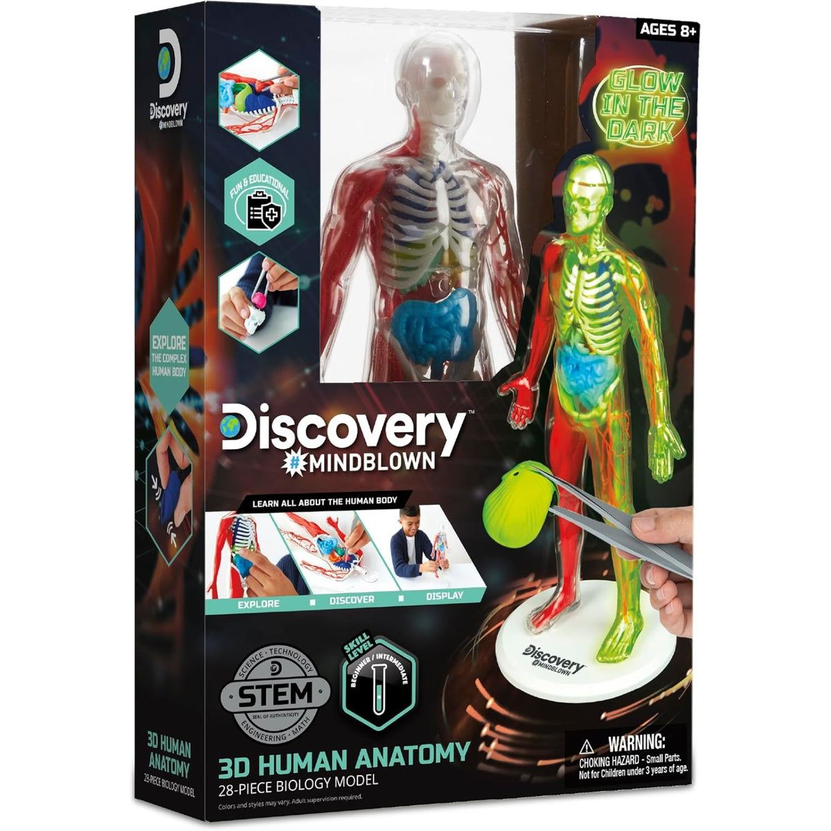 Discovery #MINDBLOWN 3D Human Anatomy Biology Model, 28pcs