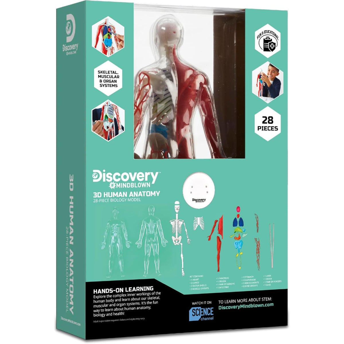 Discovery #MINDBLOWN 3D Human Anatomy Biology Model, 28pcs