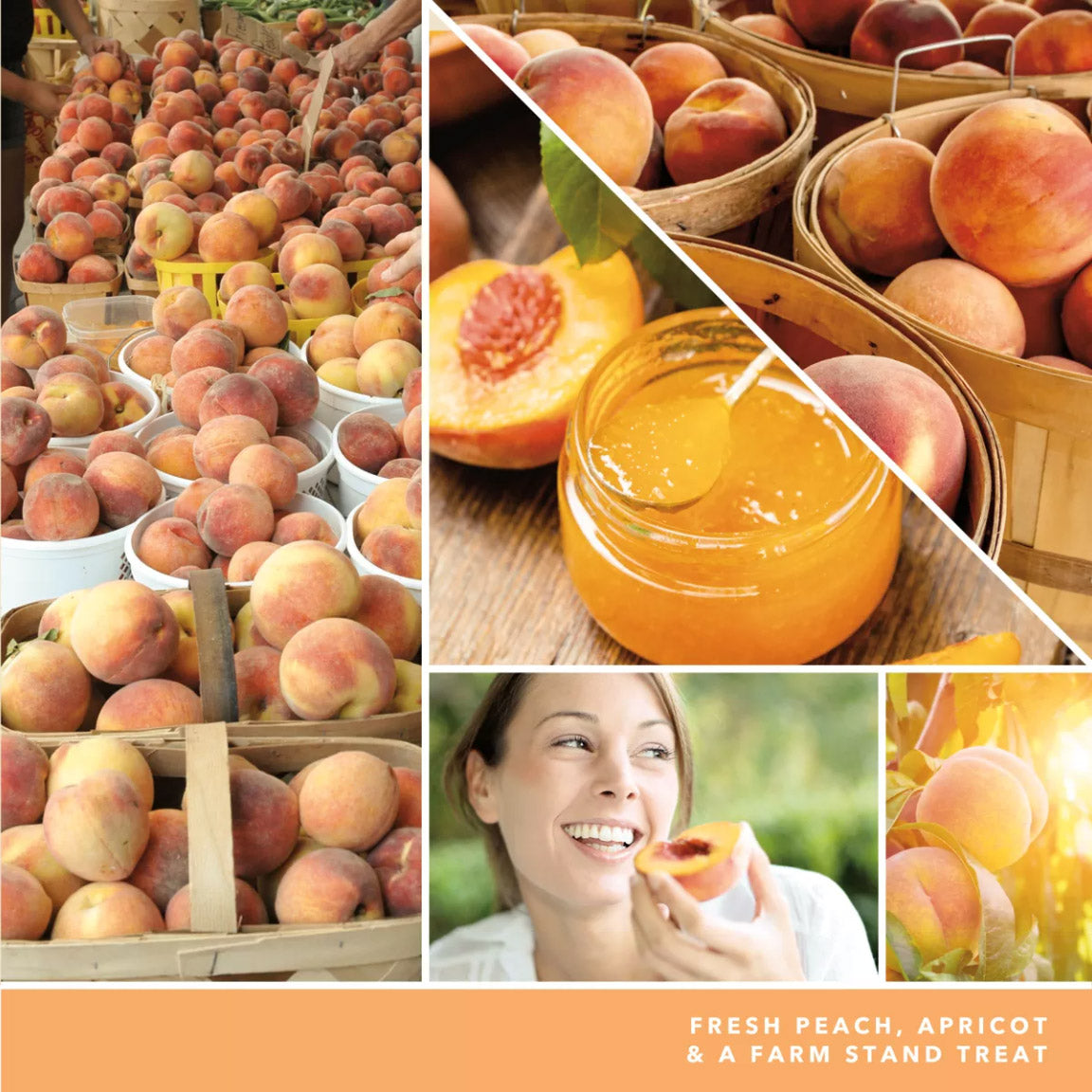 Yankee Candle Signature Large Jar Candle, 2-wicks (20oz) - Farm Fresh Peach