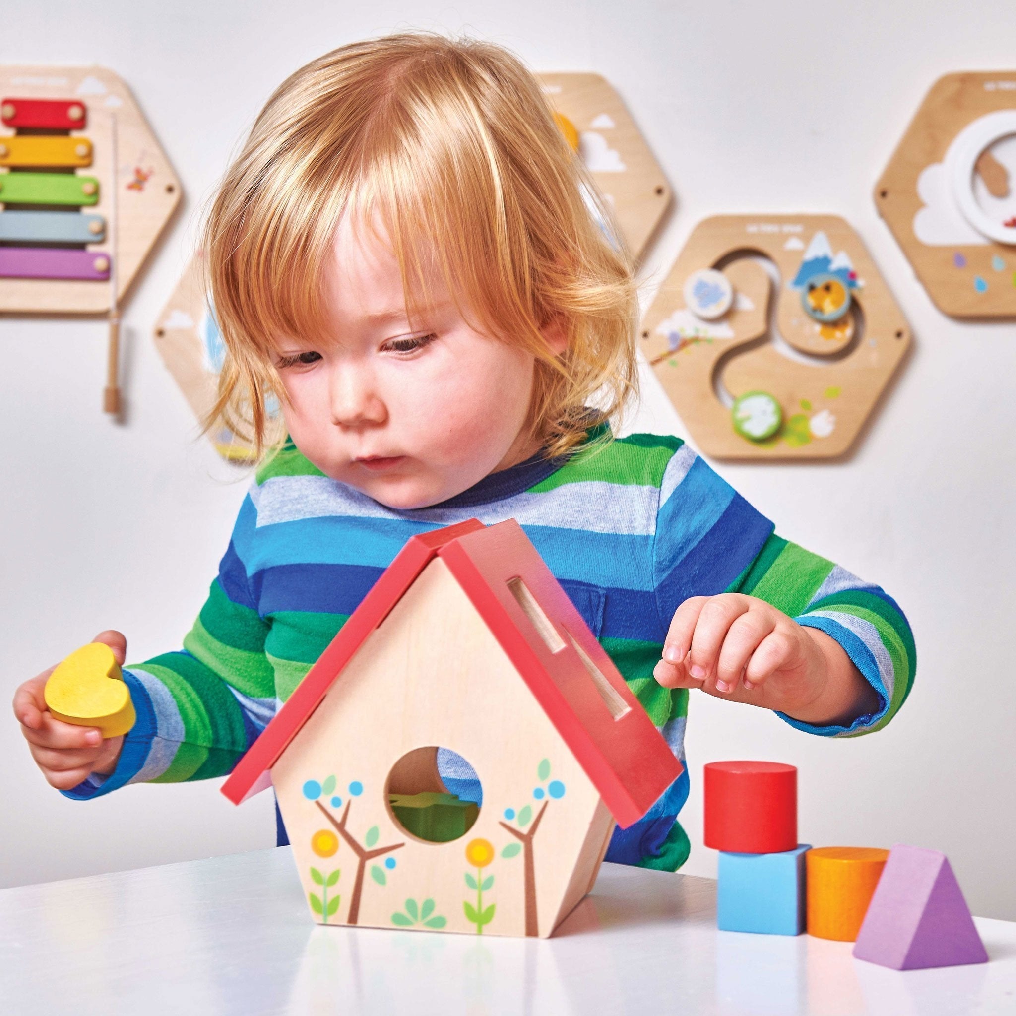 Le Toy Van My Little Bird House Shape Sorter