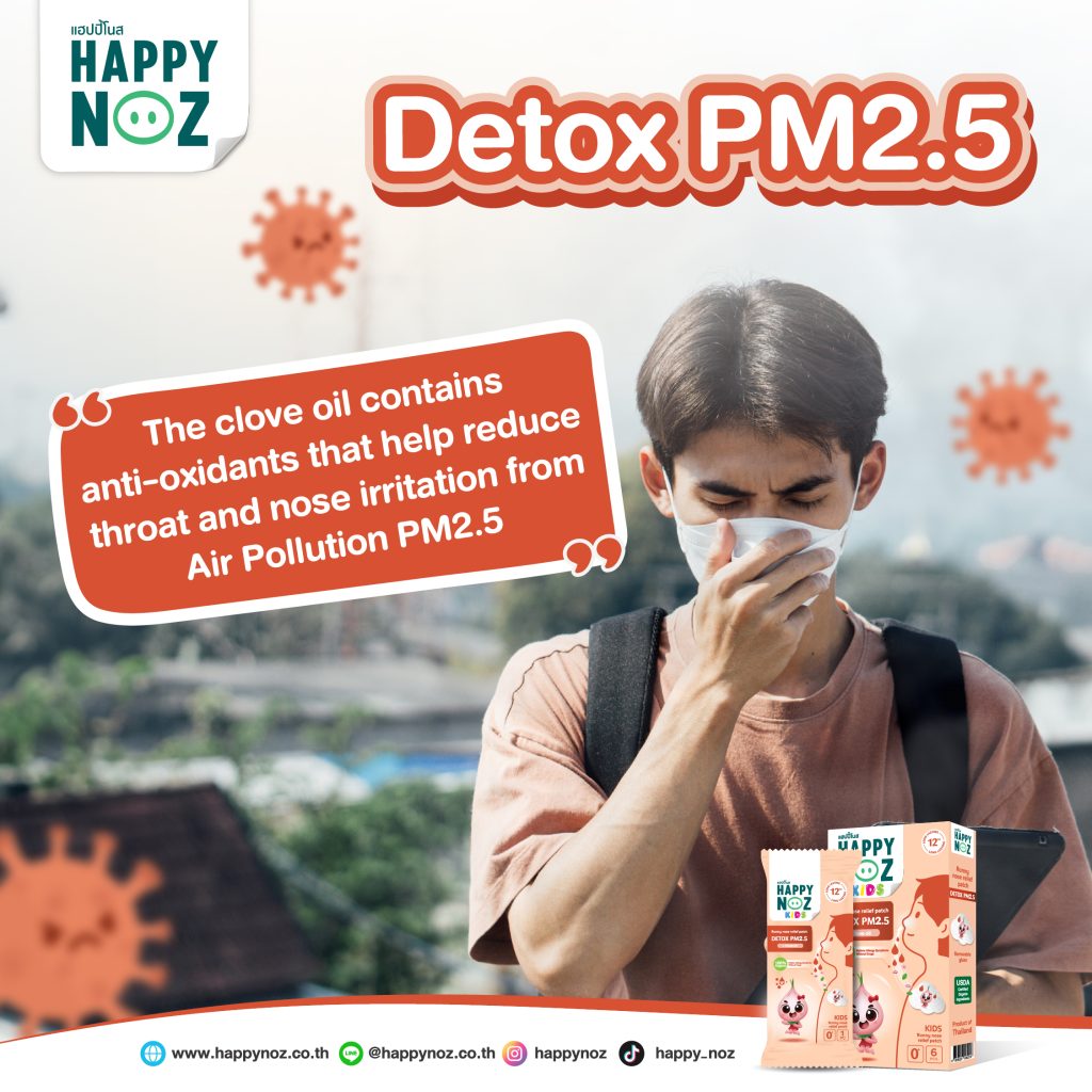 Happy Noz Organic Onion Sticker Patch For Kids, 6pcs - Detox PM 2.5 Orange (Exp 02/26)
