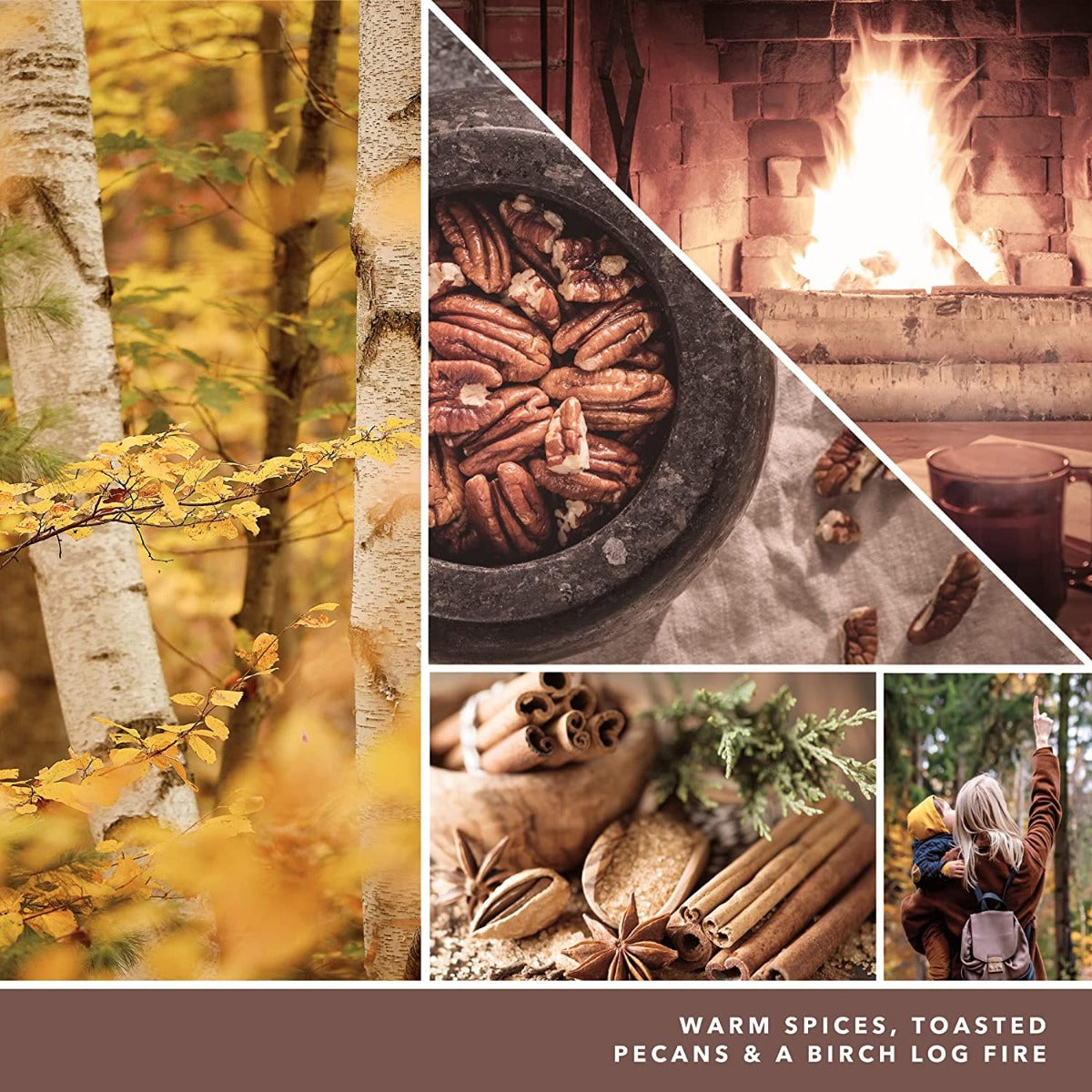 Yankee Candle Signature Small Tumbler Candle, 1- Wick (4.3oz) - Praline & Birch