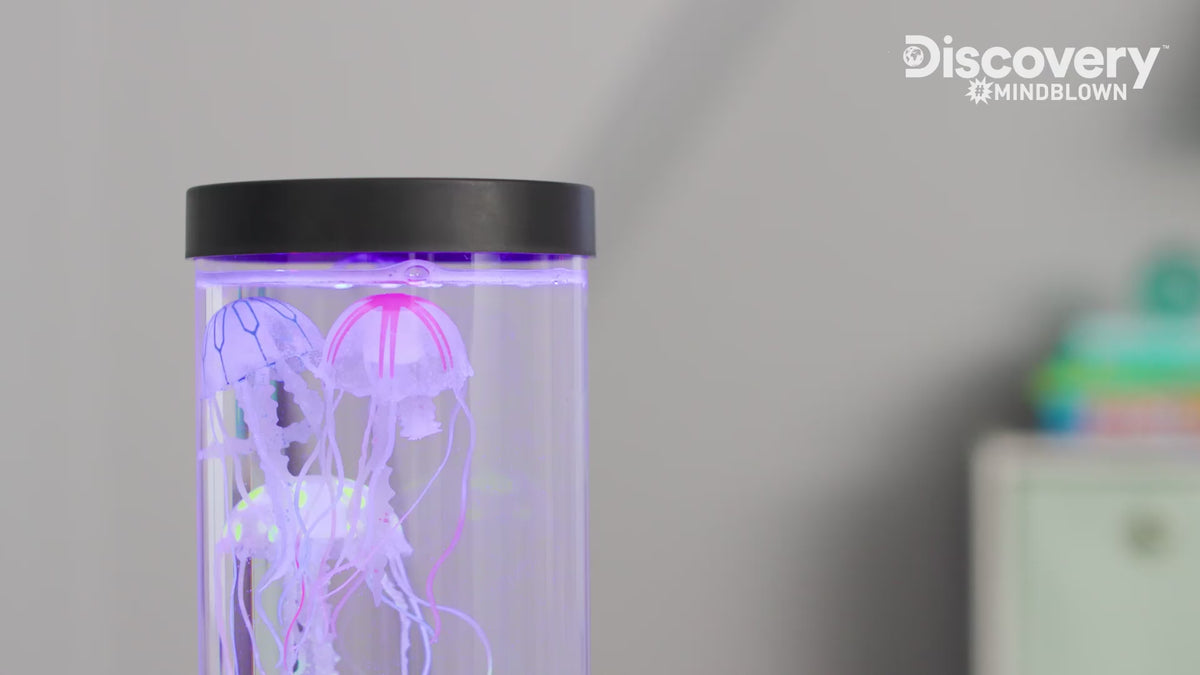 Load video: Discovery #MINDBLOWN Jellyfish Aquarium