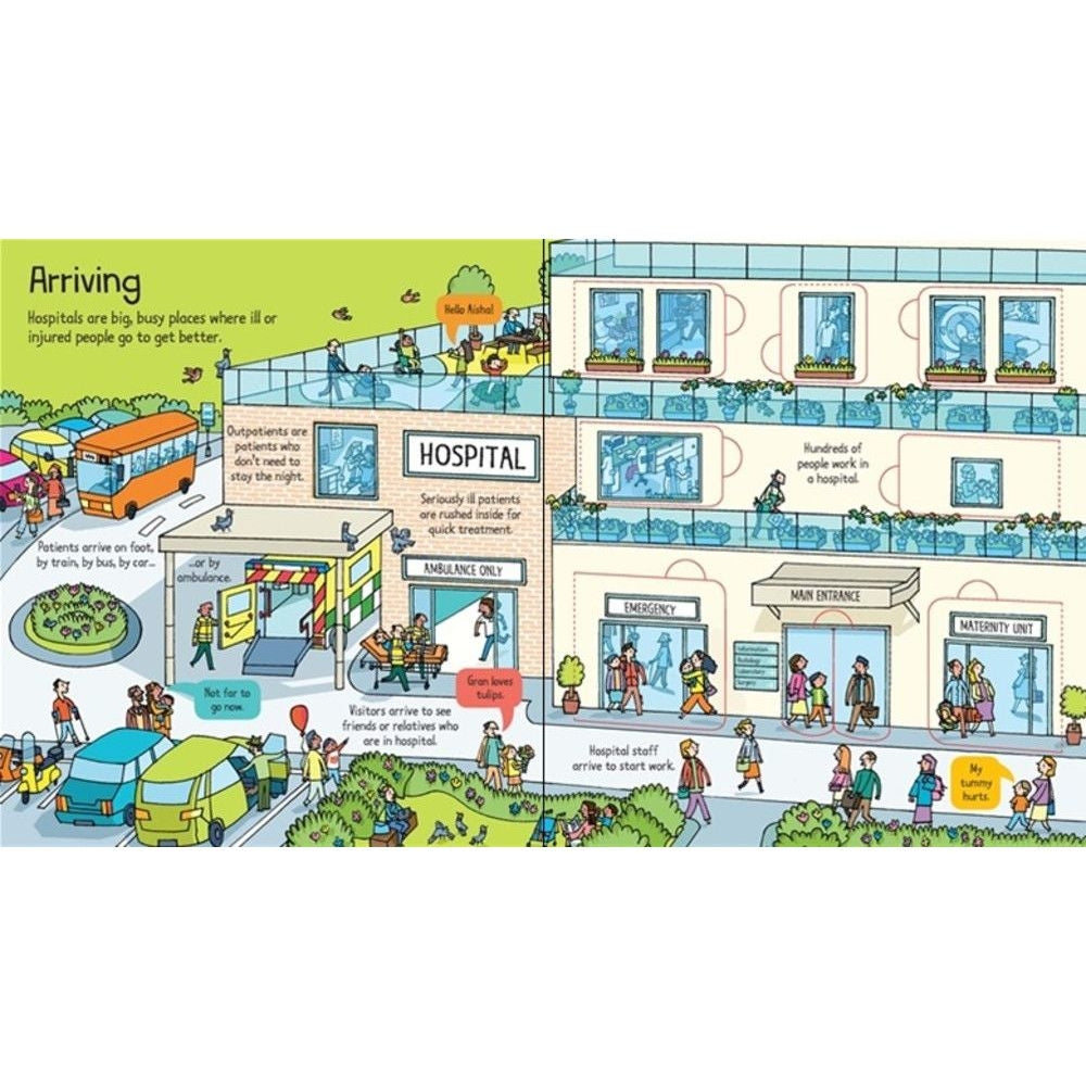 Usborne Lift-the-Flap Look Inside Book (10 Types) - Pupsik Singapore