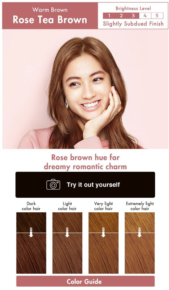 Liese Creamy Bubble Colour Hair Dye - New Packaging (16 Colors)